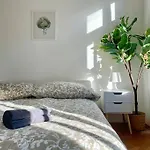 Sunny & Calm Stylish Flat