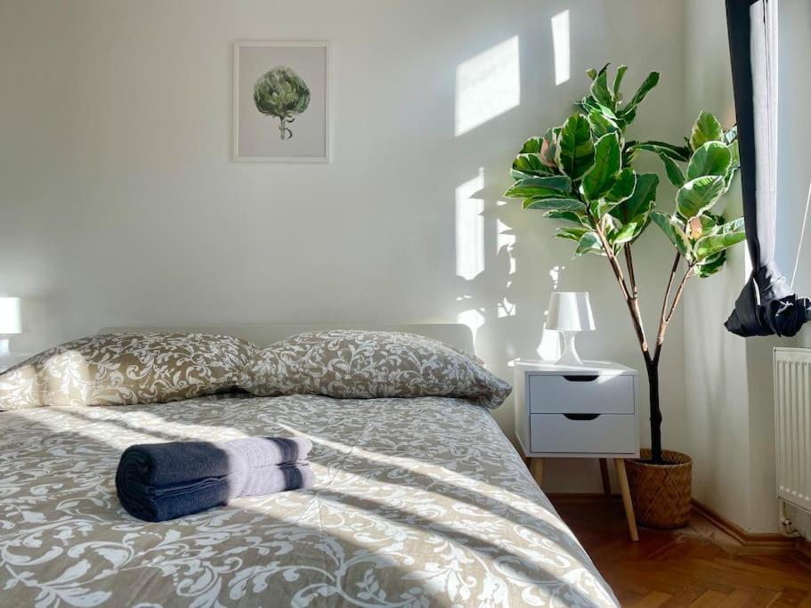 Apartment Sunny & Calm Stylish Flat