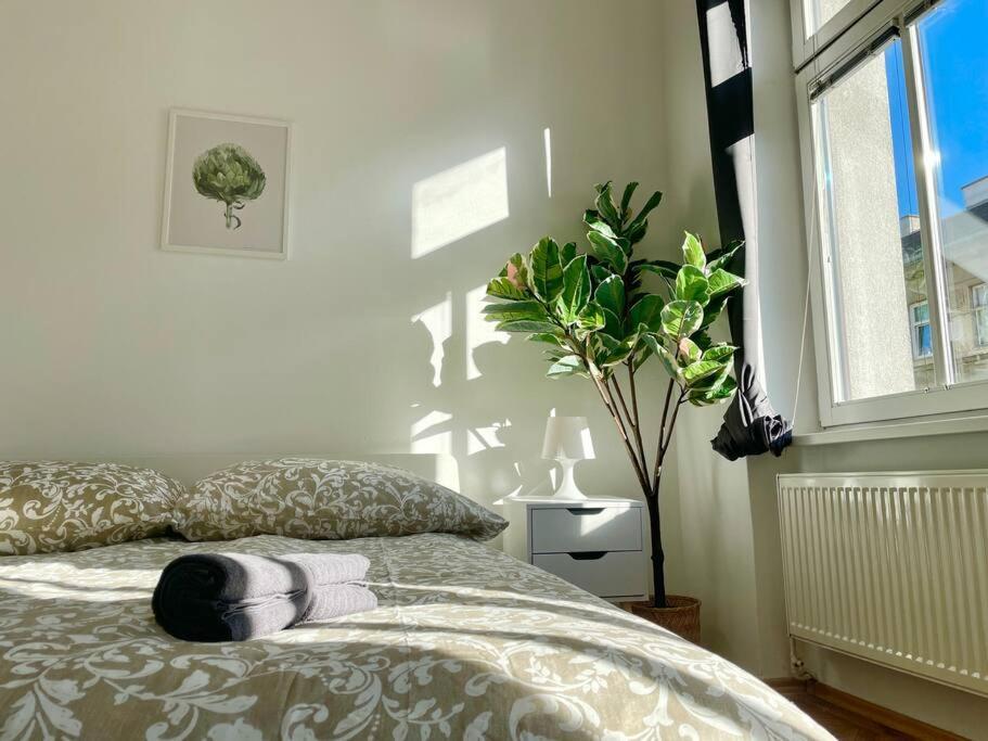 Sunny & Calm Stylish Flat