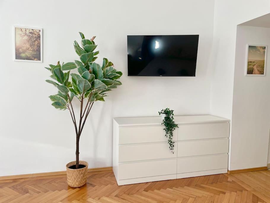 Sunny & Calm Stylish Flat Wien