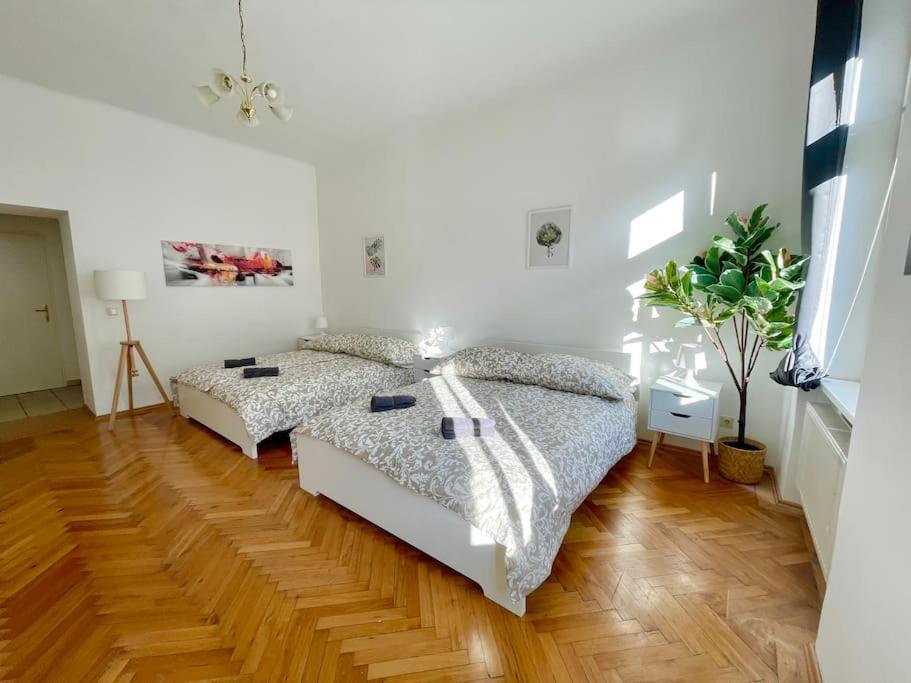 Sunny & Calm Stylish Flat Wien