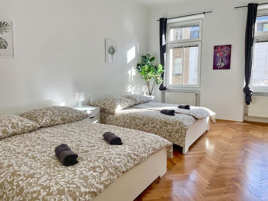 Sunny & Calm Stylish Flat