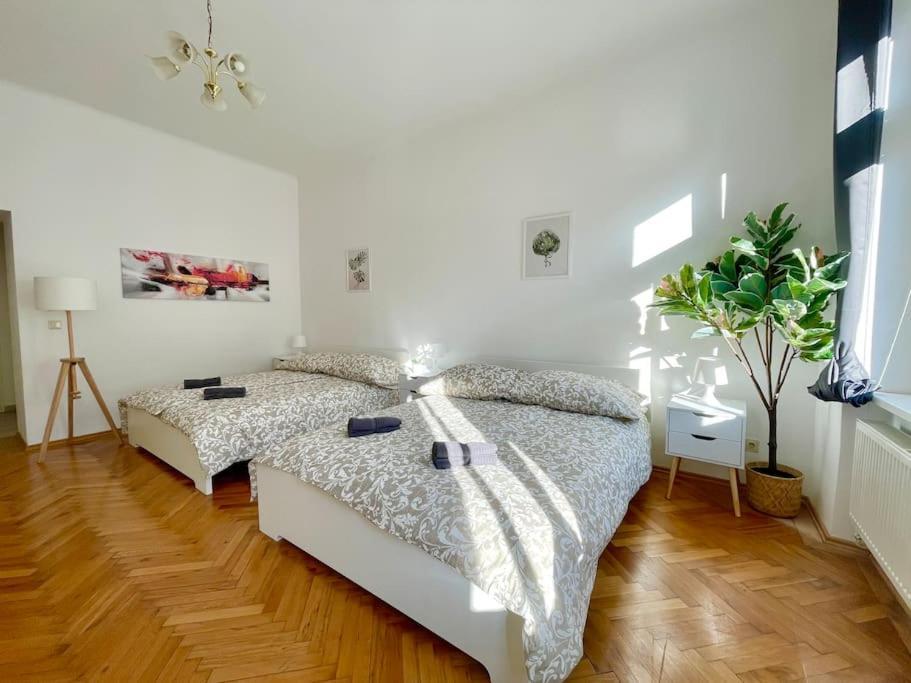 Sunny & Calm Stylish Flat Apartment Wien